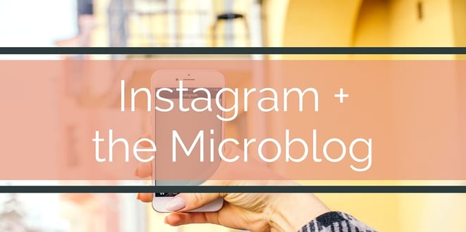 how-to-use-microblogging-and-instagram how-to-use-microblogging-and-instagram