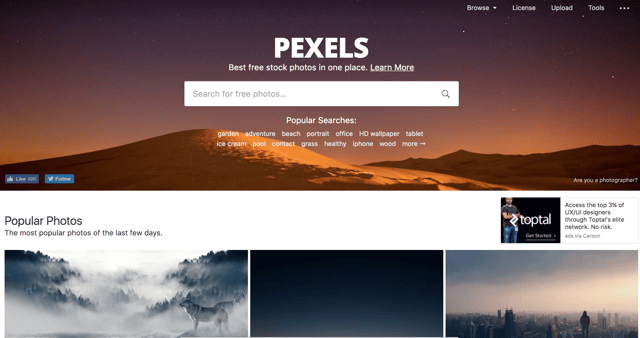 free-images-for-blogpost-pexels free-images-for-blogpost-pexels