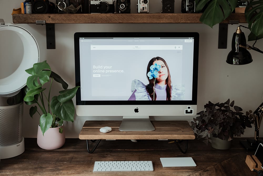 annie-spratt-gM8L2eUCVRE-unsplash