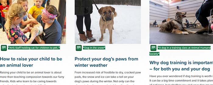 Screen capture showing image ALT tag text.