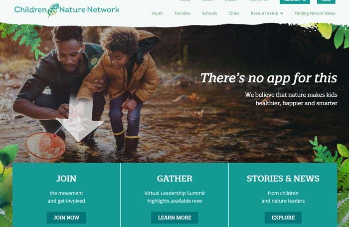 Example of large website photo leading viewers eyes to a CTA.
