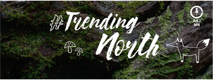 trendingnorth-460283-edited.jpg