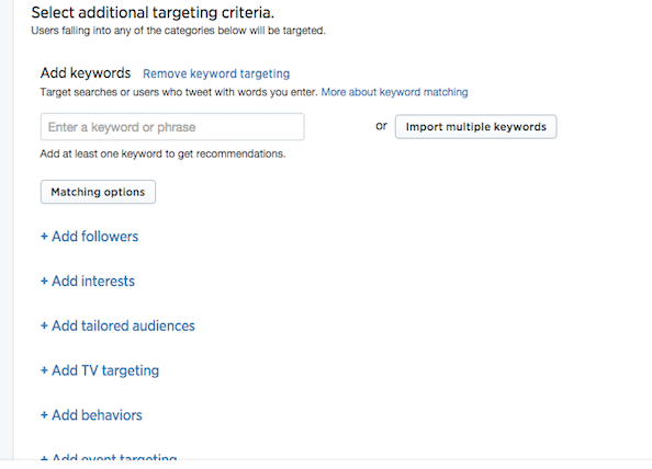 target_audience-promoted_tweets-setup