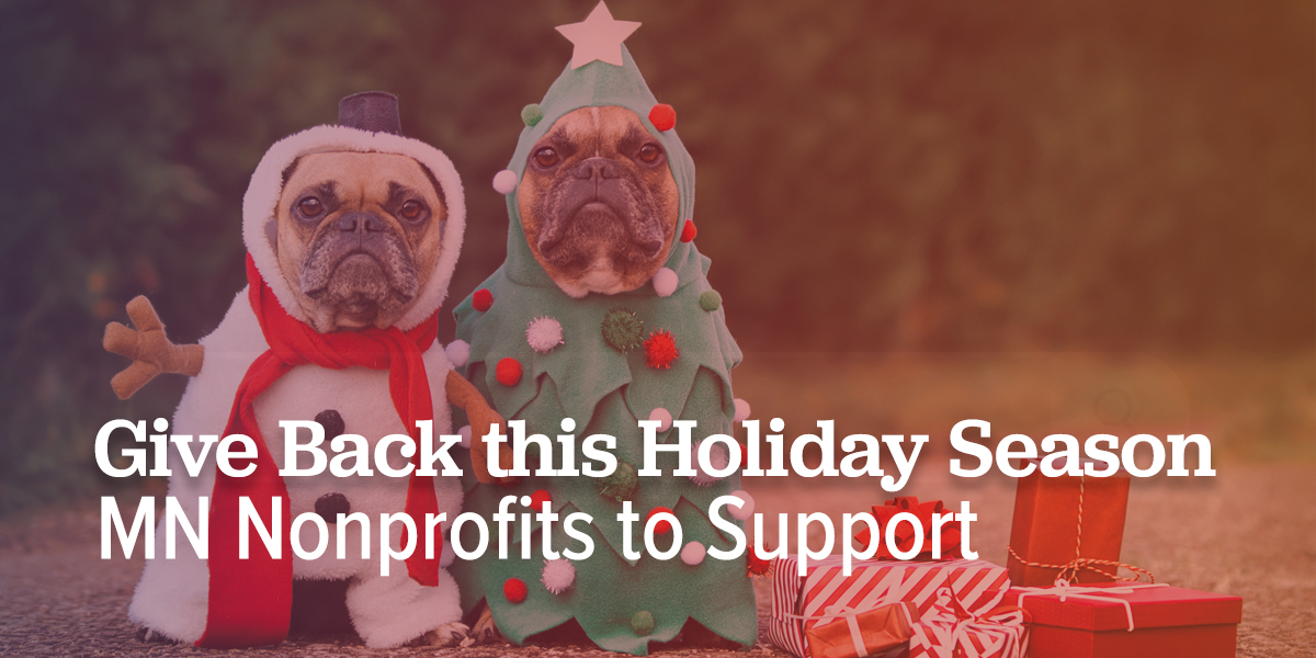 Give Back This Holiday Season: Nonprofits to Support