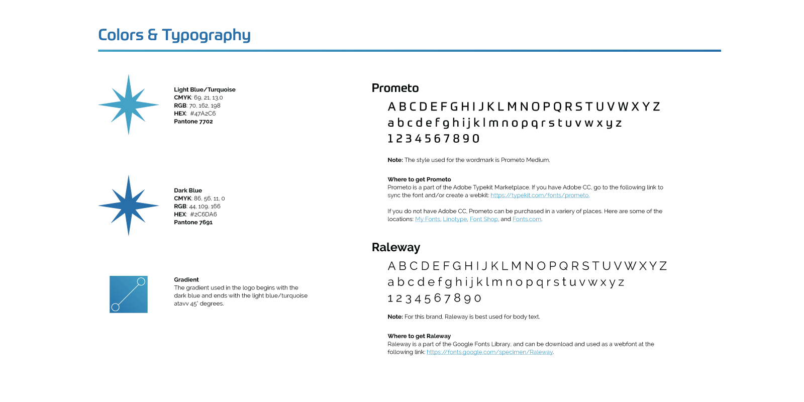 Washington Passport Network's brand colors and typography
